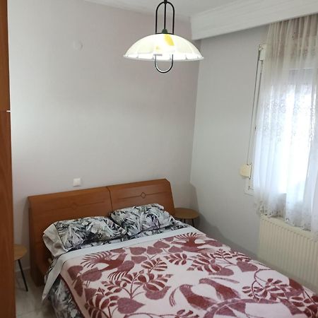 Apartment Marios Soufli Ευρύχωρη Γκαρσονιέρα, 60M2 Στο Κέντρο Souflíon Exterior photo